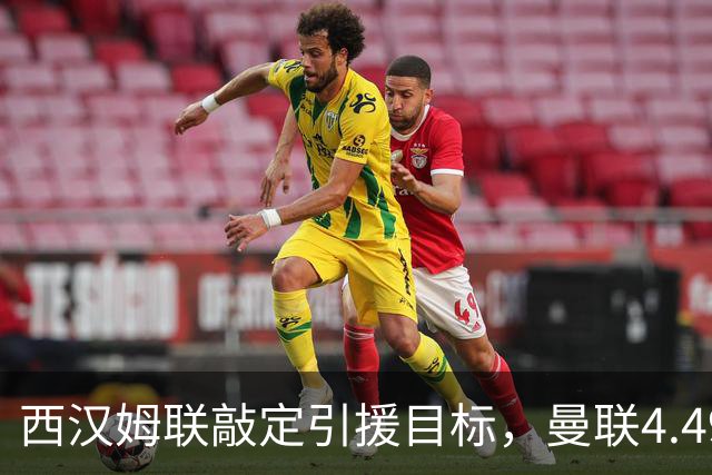 西汉姆联敲定引援目标，曼联4.49亿元求购萨默维尔迎来转机